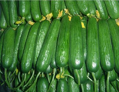 ���������ձ�С�ƹ�