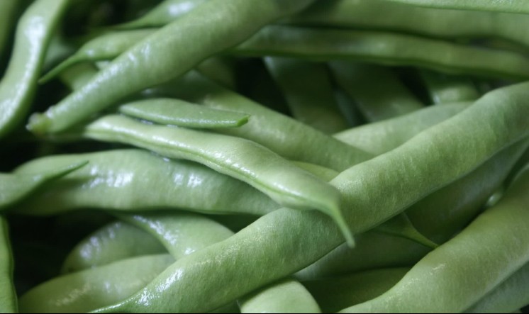 ���������ļ���