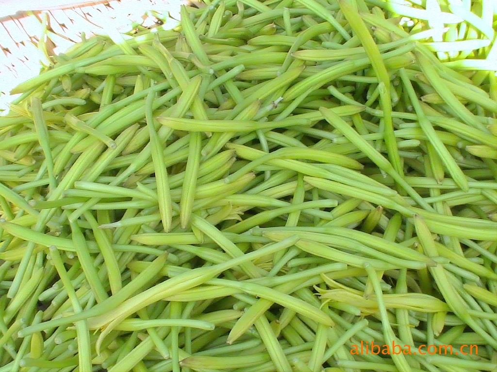 ���������ʻƻ�