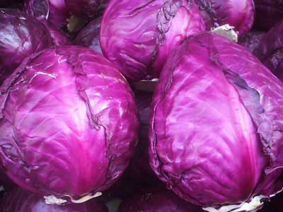 �����ϰײ�